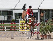 Viglioli Wembley CsioArJYR SS7 7220 : CSIO Giovani Arezzo, Viglioli Laura, Wembley, foto Stefano Secchi ©