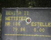 Wertstein Benita CsioArJYR SS7 7339 : Benita II, CSIO Giovani Arezzo, Wertstein Estelle, foto Stefano Secchi ©