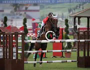 Wettstein Benita CsioArJYR SS7 8020 : Benita II, CSIO Giovani Arezzo, Wettstein Estelle, foto Stefano Secchi ©