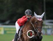 Wettstein Benita CsioArJYR SS7 8023 : Benita II, CSIO Giovani Arezzo, Wettstein Estelle, foto Stefano Secchi ©