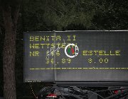 Wettstein Benita CsioArJYR SS7 8026 : Benita II, CSIO Giovani Arezzo, Wettstein Estelle, foto Stefano Secchi ©