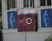 Yedicardes Coolina CsioArJYR SS7 7133 : CSIO Giovani Arezzo, Coolina, Yedicardes Taha, foto Stefano Secchi ©