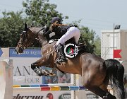 Zahid Joker CsioArJYR SS7 7213 : CSIO Giovani Arezzo, Joker 538, Zahid Tamara, foto Stefano Secchi ©
