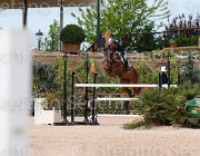 AGOSTINI WODASSA CampITA2013- S5 0717 : AGOSTINI ANDREA, Campionati Italiani 2013, Cattolica, Horse Riviera Resort, WODASSA'S FINCH, foto di Stefano Secchi ©