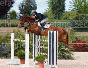 AGOSTINI WODASSA CampITA2013- S5 0722 : AGOSTINI ANDREA, Campionati Italiani 2013, Cattolica, Horse Riviera Resort, WODASSA'S FINCH, foto di Stefano Secchi ©