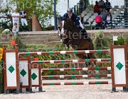 ALBANO LUCE CampITA2013- S5 0603 : ALBANO ALESSIO, Campionati Italiani 2013, Cattolica, Horse Riviera Resort, LUCE DELLA FLORIDA, foto di Stefano Secchi ©