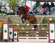 AMATOBENE NAIROBI CampITA2013- S5 0615 : AMATOBENE ALESSANDRO, Campionati Italiani 2013, Cattolica, Horse Riviera Resort, NAIROBI, foto di Stefano Secchi ©