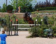 ANGERAME QUADRIO CampITA2013- S5 0396 : ANGERAME FILIPPO, Campionati Italiani 2013, Cattolica, Horse Riviera Resort, QUADRO Z, foto di Stefano Secchi ©