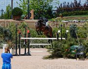 ANGERAME QUADRIO CampITA2013- S5 0397 : ANGERAME FILIPPO, Campionati Italiani 2013, Cattolica, Horse Riviera Resort, QUADRO Z, foto di Stefano Secchi ©