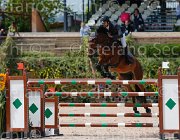 ANGERAME QUADRIO CampITA2013- S5 0401 : ANGERAME FILIPPO, Campionati Italiani 2013, Cattolica, Horse Riviera Resort, QUADRO Z, foto di Stefano Secchi ©