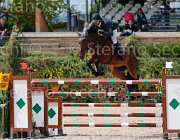 ANGERAME QUADRIO CampITA2013- S5 0402 : ANGERAME FILIPPO, Campionati Italiani 2013, Cattolica, Horse Riviera Resort, QUADRO Z, foto di Stefano Secchi ©