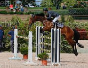 ANGERAME QUADRIO CampITA2013- S5 0407 : ANGERAME FILIPPO, Campionati Italiani 2013, Cattolica, Horse Riviera Resort, QUADRO Z, foto di Stefano Secchi ©