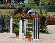 ANGERAME QUADRIO CampITA2013- S5 0408 : ANGERAME FILIPPO, Campionati Italiani 2013, Cattolica, Horse Riviera Resort, QUADRO Z, foto di Stefano Secchi ©