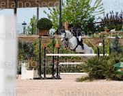 ANTONAZZI CATALANO CampITA2013- S5 0634 : ANTONAZZI JACOPO, CATALANO, Campionati Italiani 2013, Cattolica, Horse Riviera Resort, foto di Stefano Secchi ©