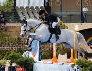 ANTONAZZI CATALANO CampITA2013- S5 0637 : ANTONAZZI JACOPO, CATALANO, Campionati Italiani 2013, Cattolica, Horse Riviera Resort, foto di Stefano Secchi ©