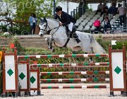 ANTONAZZI CATALANO CampITA2013- S5 0641 : ANTONAZZI JACOPO, CATALANO, Campionati Italiani 2013, Cattolica, Horse Riviera Resort, foto di Stefano Secchi ©