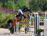 ARIOLDI LAGERFELD CampITA2013- S5 9192 : ARIOLDI ROBERTO, Campionati Italiani 2013, Cattolica, Horse Riviera Resort, LAGERFELD 19, foto di Stefano Secchi ©