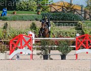 ARIOLDI LAGERFELD CampITA2013- S5 9193 : ARIOLDI ROBERTO, Campionati Italiani 2013, Cattolica, Horse Riviera Resort, LAGERFELD 19, foto di Stefano Secchi ©