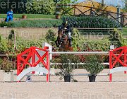 ARIOLDI LAGERFELD CampITA2013- S5 9194 : ARIOLDI ROBERTO, Campionati Italiani 2013, Cattolica, Horse Riviera Resort, LAGERFELD 19, foto di Stefano Secchi ©