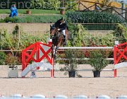 ARIOLDI LAGERFELD CampITA2013- S5 9195 : ARIOLDI ROBERTO, Campionati Italiani 2013, Cattolica, Horse Riviera Resort, LAGERFELD 19, foto di Stefano Secchi ©