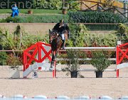 ARIOLDI LAGERFELD CampITA2013- S5 9196 : ARIOLDI ROBERTO, Campionati Italiani 2013, Cattolica, Horse Riviera Resort, LAGERFELD 19, foto di Stefano Secchi ©