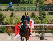 ARIOLDI LAGERFELD CampITA2013- S5 9199 : ARIOLDI ROBERTO, Campionati Italiani 2013, Cattolica, Horse Riviera Resort, LAGERFELD 19, foto di Stefano Secchi ©