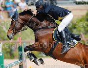 ARIOLDI LAGERFELD CampITA2013- S5 9208 : ARIOLDI ROBERTO, Campionati Italiani 2013, Cattolica, Horse Riviera Resort, LAGERFELD 19, foto di Stefano Secchi ©