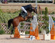 ARIOLDI LAGERFELD CampITA2013- S5 9210 : ARIOLDI ROBERTO, Campionati Italiani 2013, Cattolica, Horse Riviera Resort, LAGERFELD 19, foto di Stefano Secchi ©