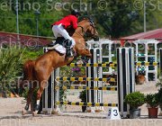 BALDO ODEON CampITA2013- S5 9961 : BALDO OSCAR, Campionati Italiani 2013, Cattolica, Horse Riviera Resort, ODEON DE LA LANDE, foto di Stefano Secchi ©