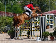 BALDO ODEON CampITA2013- S5 9962 : BALDO OSCAR, Campionati Italiani 2013, Cattolica, Horse Riviera Resort, ODEON DE LA LANDE, foto di Stefano Secchi ©