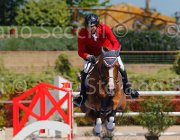 BALDO ODEON CampITA2013- S5 9971 : BALDO OSCAR, Campionati Italiani 2013, Cattolica, Horse Riviera Resort, ODEON DE LA LANDE, foto di Stefano Secchi ©