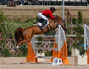 BALDO ODEON CampITA2013- S5 9977 : BALDO OSCAR, Campionati Italiani 2013, Cattolica, Horse Riviera Resort, ODEON DE LA LANDE, foto di Stefano Secchi ©