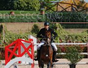 BARCA ORSONE CampITA2013- S5 9022 : BARCA MATTEO, Campionati Italiani 2013, Cattolica, Horse Riviera Resort, ORSONE L'ENCHANTE, foto di Stefano Secchi ©