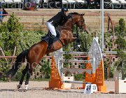 BARCA ORSONE CampITA2013- S5 9033 : BARCA MATTEO, Campionati Italiani 2013, Cattolica, Horse Riviera Resort, ORSONE L'ENCHANTE, foto di Stefano Secchi ©