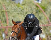 BARCA ORSONE CampITA2013- S5 9040 : BARCA MATTEO, Campionati Italiani 2013, Cattolica, Horse Riviera Resort, ORSONE L'ENCHANTE, foto di Stefano Secchi ©
