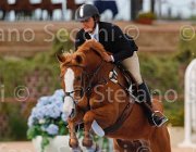 BARILARI IMPERATRICE CampITA2013- S5 1024 : BARILARI NICOLA, Campionati Italiani 2013, Cattolica, Horse Riviera Resort, IMPERATRICE DE VILLANOVA, foto di Stefano Secchi ©
