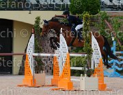 BAVA VERONA CampITA2013- S5 1008 : BAVA FRANCESCA, Campionati Italiani 2013, Cattolica, Horse Riviera Resort, VERONA.S, foto di Stefano Secchi ©