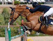 bottanelli risolde CampITA2013- S5 9569 : BOTTANELLI marta, Campionati Italiani 2013, Cattolica, Horse Riviera Resort, RISOLDE, foto di Stefano Secchi ©