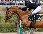 bottanelli risolde CampITA2013- S5 9570 : BOTTANELLI marta, Campionati Italiani 2013, Cattolica, Horse Riviera Resort, RISOLDE, foto di Stefano Secchi ©
