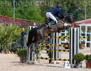 BROTTO GITANA CampITA2013- S5 0065 : BROTTO FABIO, Campionati Italiani 2013, Cattolica, Horse Riviera Resort, R-GITANA, foto di Stefano Secchi ©