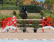 BROTTO GITANA CampITA2013- S5 0066 : BROTTO FABIO, Campionati Italiani 2013, Cattolica, Horse Riviera Resort, R-GITANA, foto di Stefano Secchi ©