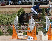 BROTTO GITANA CampITA2013- S5 0081 : BROTTO FABIO, Campionati Italiani 2013, Cattolica, Horse Riviera Resort, R-GITANA, foto di Stefano Secchi ©