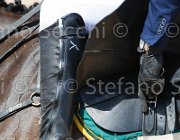 BROTTO GITANA CampITA2013- S5 0098 : BROTTO FABIO, Campionati Italiani 2013, Cattolica, Horse Riviera Resort, R-GITANA, foto di Stefano Secchi ©