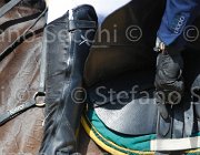 BROTTO GITANA CampITA2013- S5 0099 : BROTTO FABIO, Campionati Italiani 2013, Cattolica, Horse Riviera Resort, R-GITANA, foto di Stefano Secchi ©