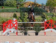 BUCCI ACORADO CampITA2013- S5 9591 : ACORADO 3 DELLA CACCIA, BUCCI PIERGIORGIO, Campionati Italiani 2013, Cattolica, Horse Riviera Resort, foto di Stefano Secchi ©