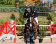 BUCCI ACORADO CampITA2013- S5 9598 : ACORADO 3 DELLA CACCIA, BUCCI PIERGIORGIO, Campionati Italiani 2013, Cattolica, Horse Riviera Resort, foto di Stefano Secchi ©