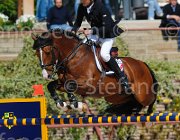 BUCCI ACORADO CampITA2013- S5 9611 : ACORADO 3 DELLA CACCIA, BUCCI PIERGIORGIO, Campionati Italiani 2013, Cattolica, Horse Riviera Resort, foto di Stefano Secchi ©