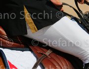 BUCCI ACORADO CampITA2013- S5 9617 : ACORADO 3 DELLA CACCIA, BUCCI PIERGIORGIO, Campionati Italiani 2013, Cattolica, Horse Riviera Resort, foto di Stefano Secchi ©