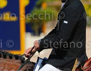 BUCCI ACORADO CampITA2013- S5 9622 : ACORADO 3 DELLA CACCIA, BUCCI PIERGIORGIO, Campionati Italiani 2013, Cattolica, Horse Riviera Resort, foto di Stefano Secchi ©