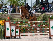 CAIMI ALLOWEN CampITA2013- S5 0545 : ALLOWEEN DB, CAIMI MARTINA, Campionati Italiani 2013, Cattolica, Horse Riviera Resort, foto di Stefano Secchi ©